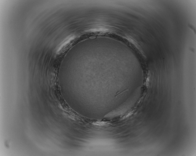 X0000099450967200805161018