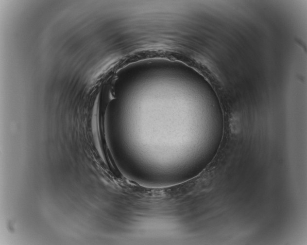 X0000099450968200805161018