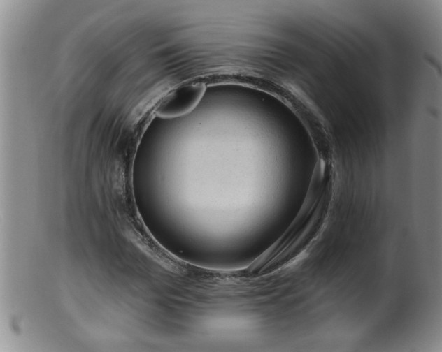 X0000099450969200805161018