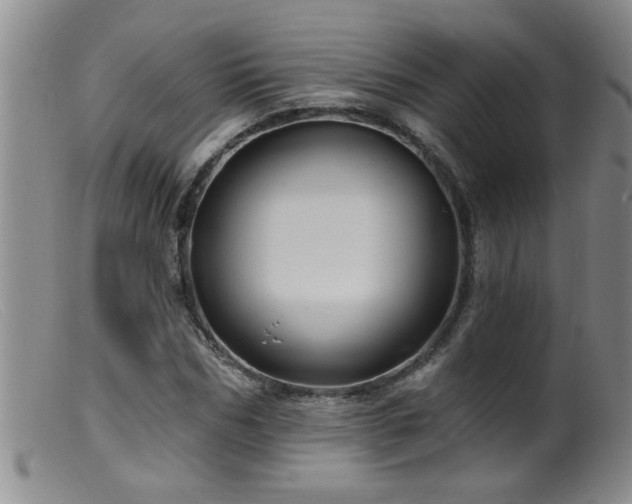 X0000099450970200805161018