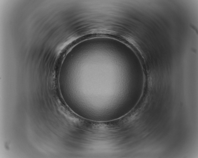 X0000099450971200805161018