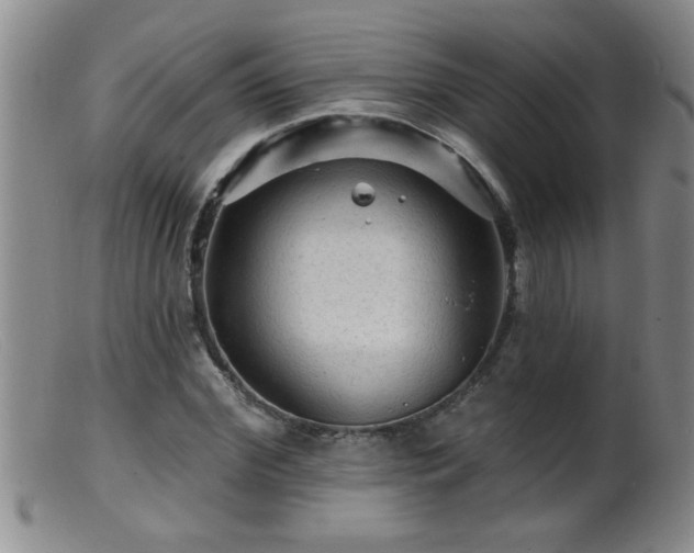 X0000099450972200805161018