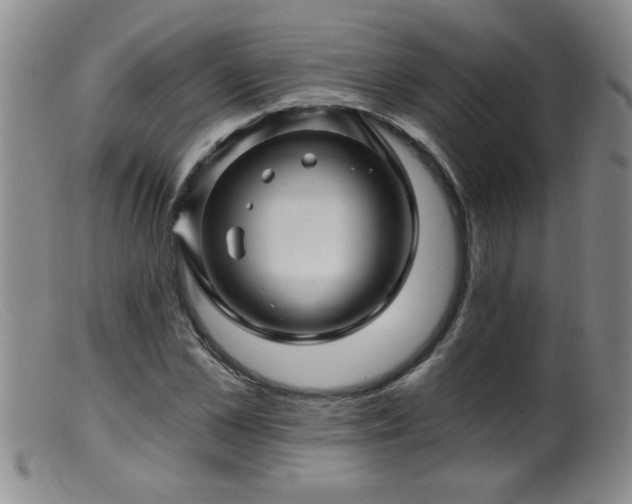 X0000099450973200805161018