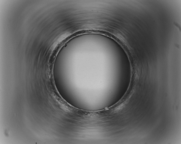 X0000099450974200805161018