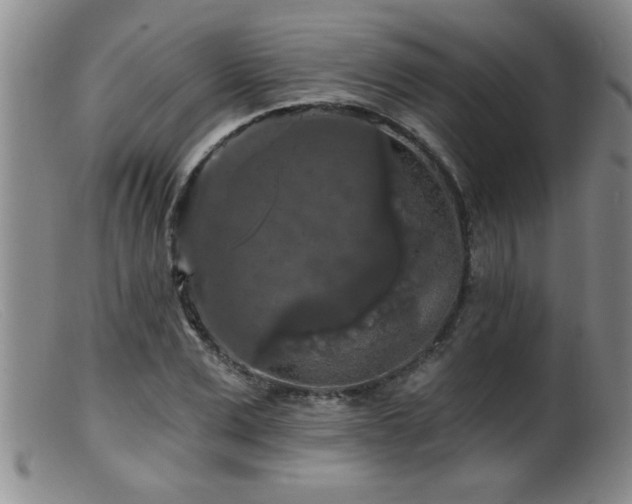 X0000099450975200805161018