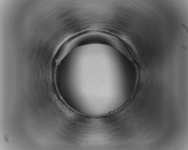 X0000099450976200805161018