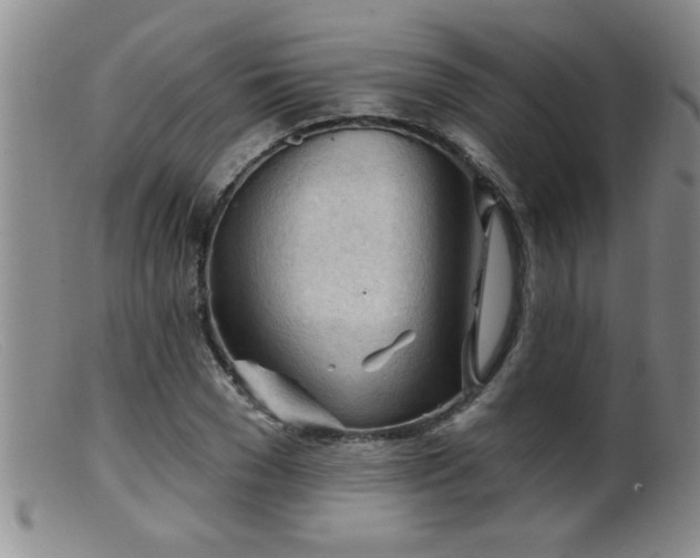 X0000099450977200805161018