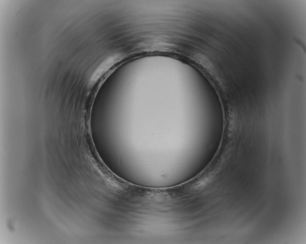 X0000099450978200805161018