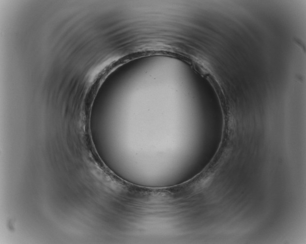 X0000099450979200805161018