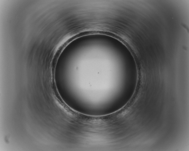 X0000099450982200805161018