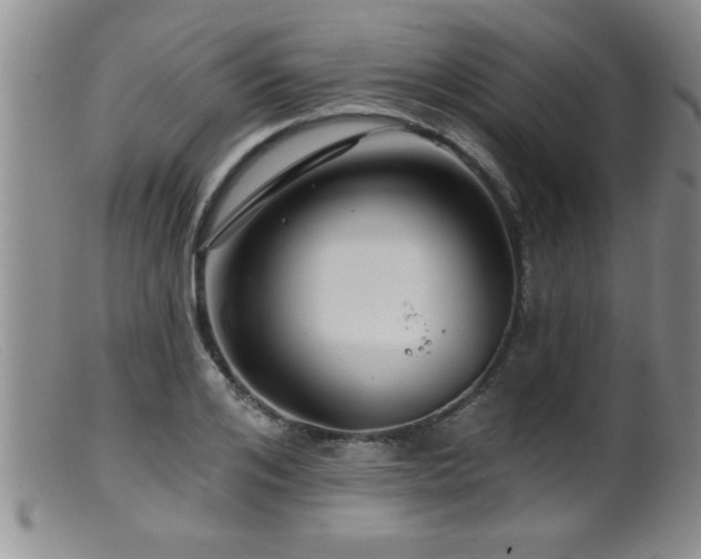 X0000099450984200805161018