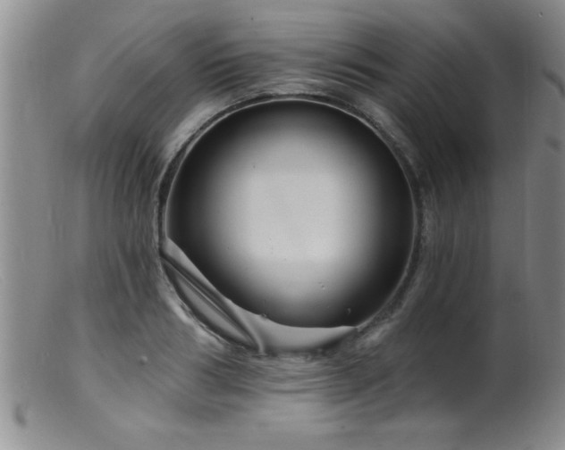 X0000099450986200805161018