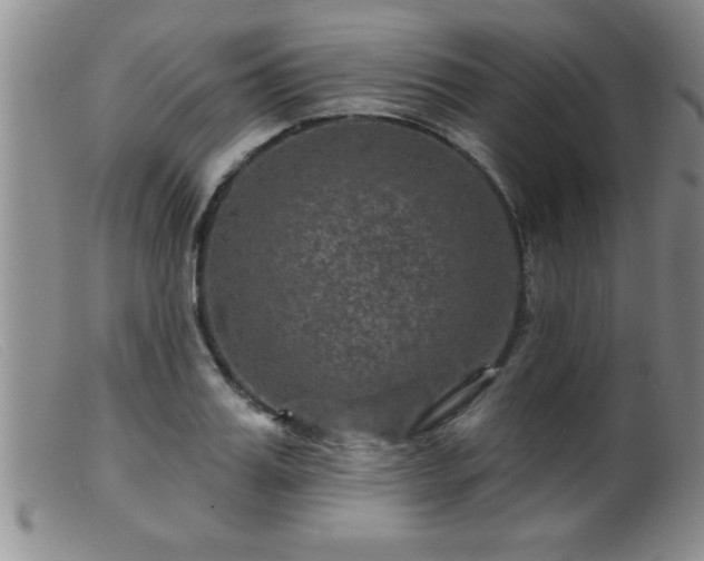 X0000099450987200805161018