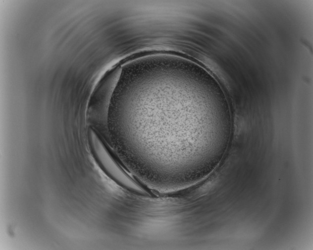 X0000099450988200805161018