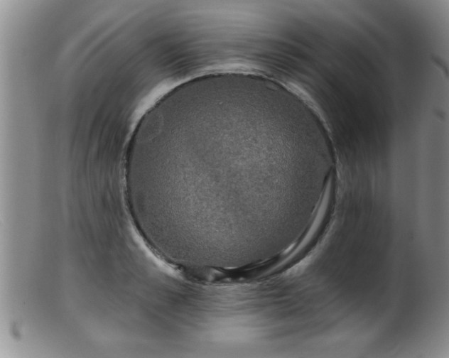 X0000099450989200805161018