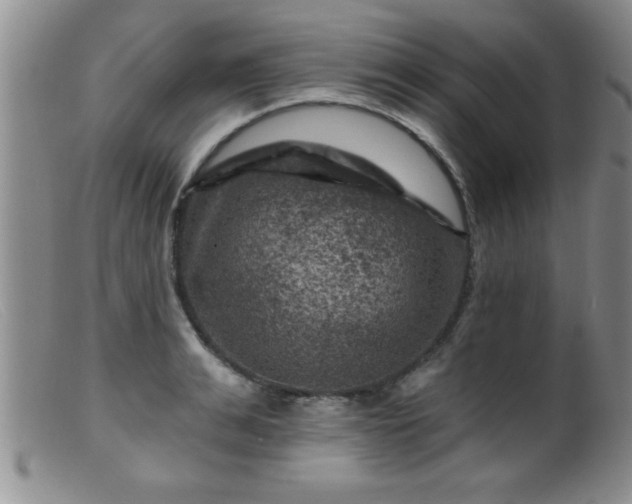 X0000099450991200805161018