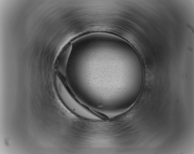 X0000099450992200805161018