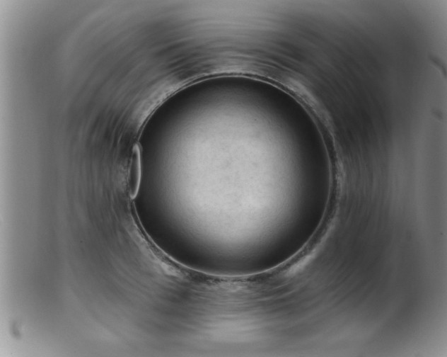 X0000099450993200805161018