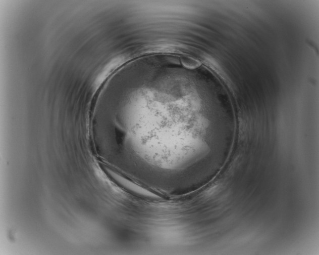 X0000099450994200805161018