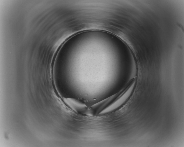 X0000099450996200805161018