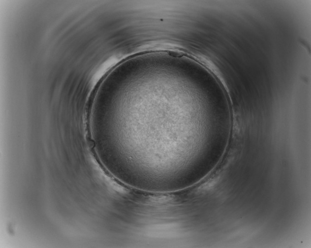 X0000099450997200805161018