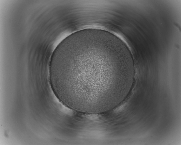 X0000099450999200805161018