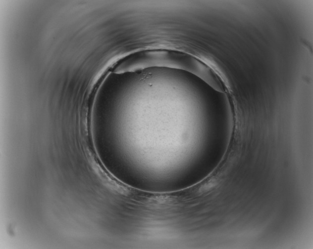 X0000099451000200805161018