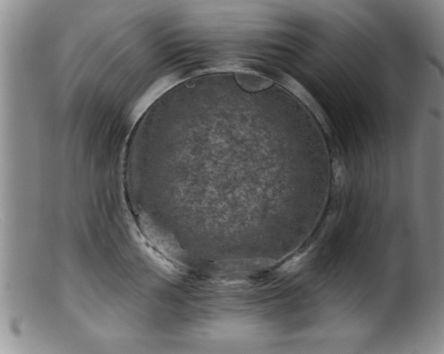 X0000099451002200805161018