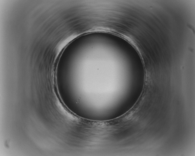 X0000099451003200805161018