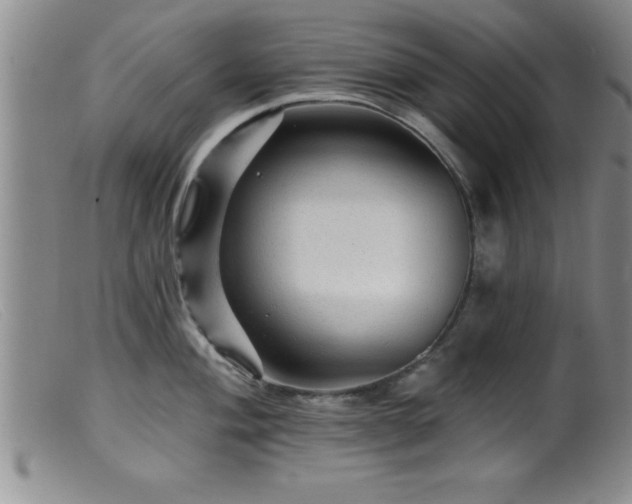 X0000099451004200805161018