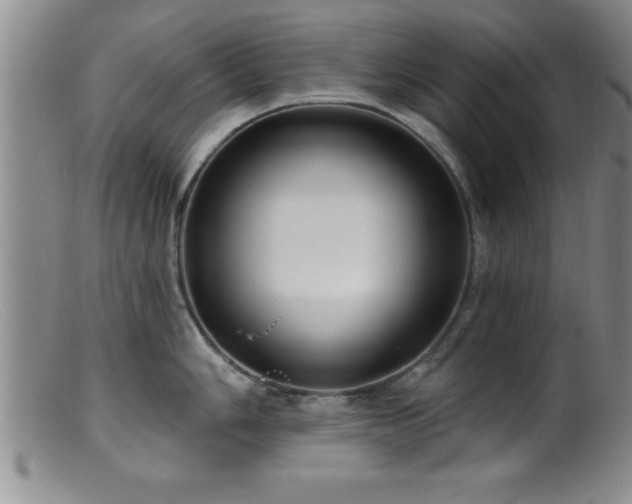 X0000099451006200805161018