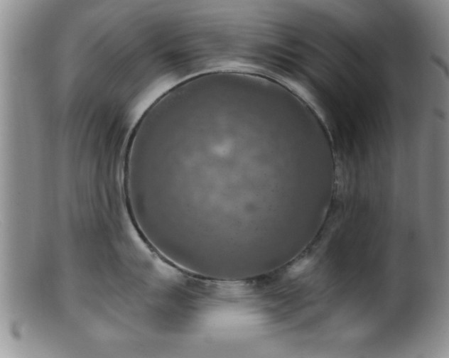 X0000099451007200805161018