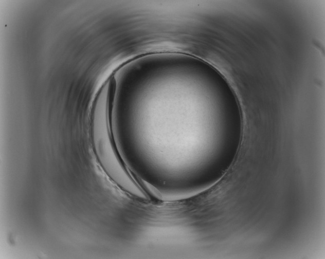 X0000099451008200805161018