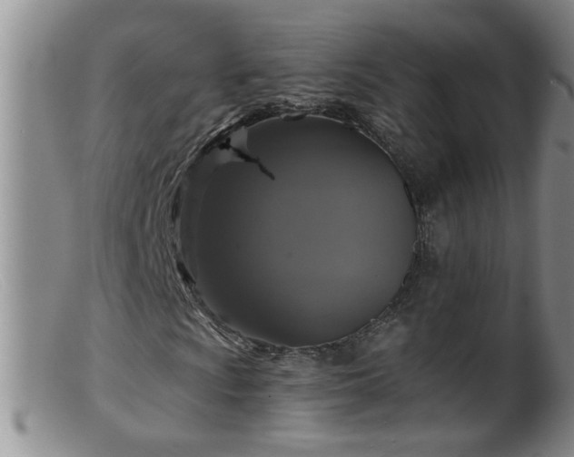 X0000099451009200805161017