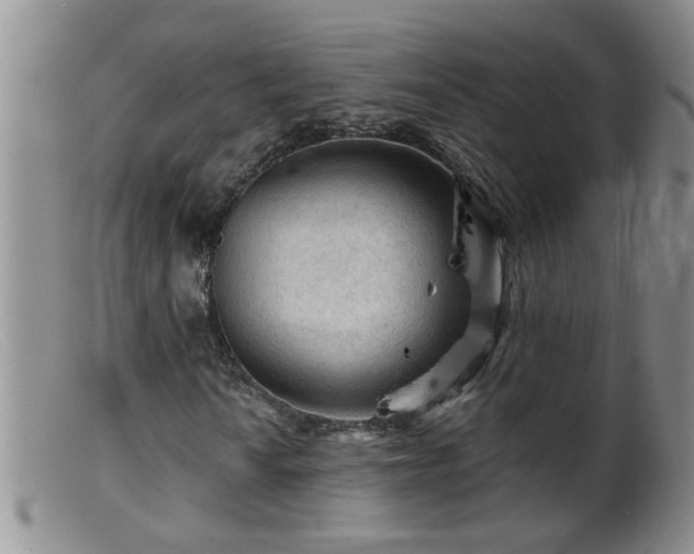 X0000099451010200805161017