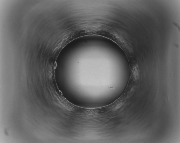 X0000099451012200805161017