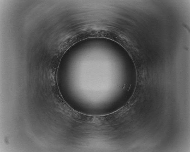 X0000099451013200805161017