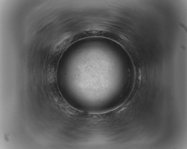 X0000099451014200805161017