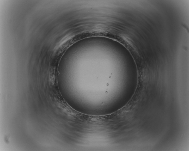 X0000099451015200805161017