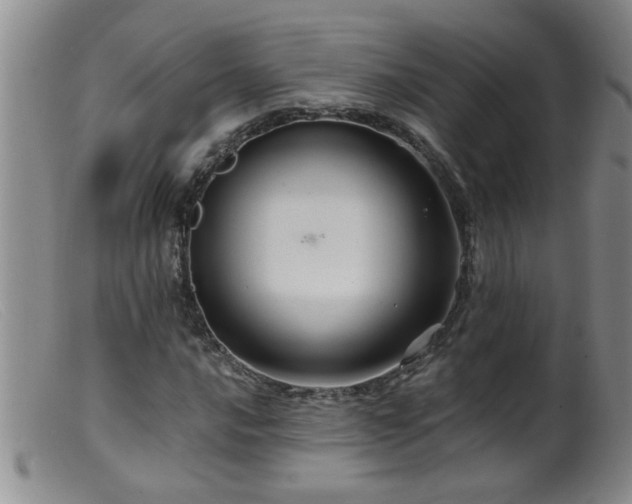 X0000099451016200805161017