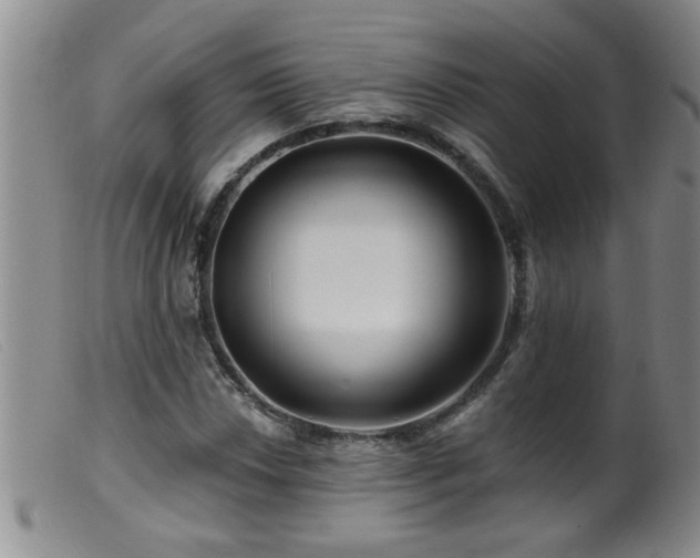 X0000099451018200805161017