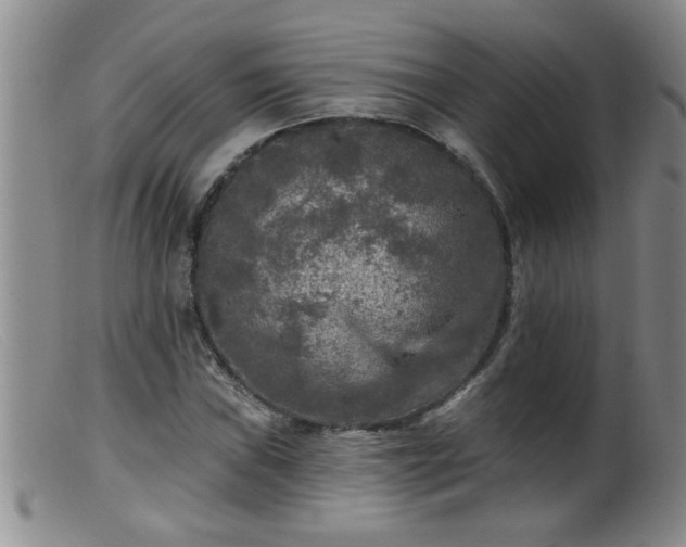 X0000099451019200805161017