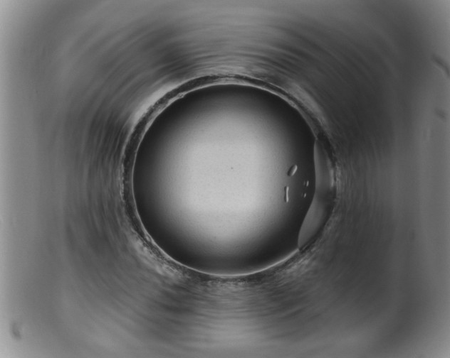 X0000099451020200805161017