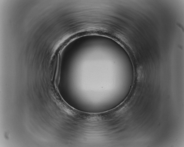 X0000099451021200805161017