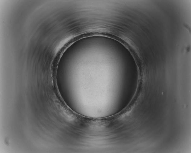 X0000099451022200805161017