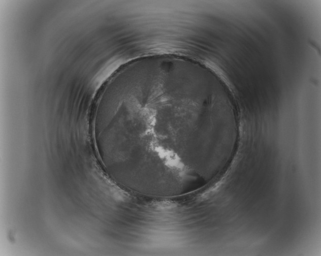 X0000099451023200805161017