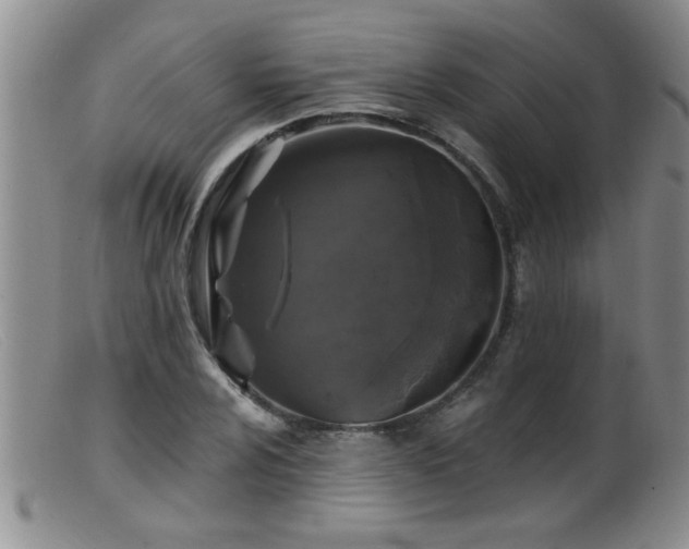 X0000099451024200805161017