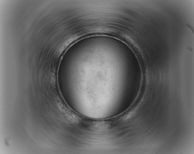 X0000099451025200805161017