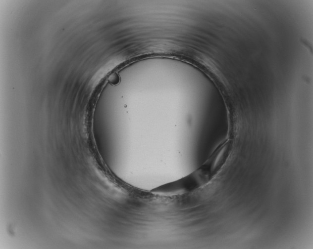 X0000099451026200805161017