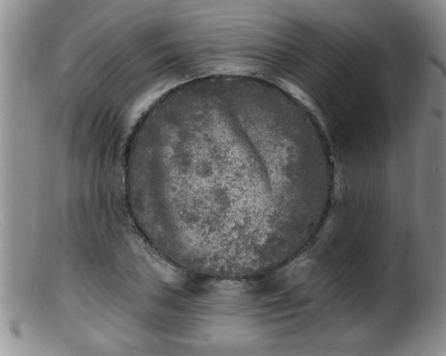 X0000099451027200805161017